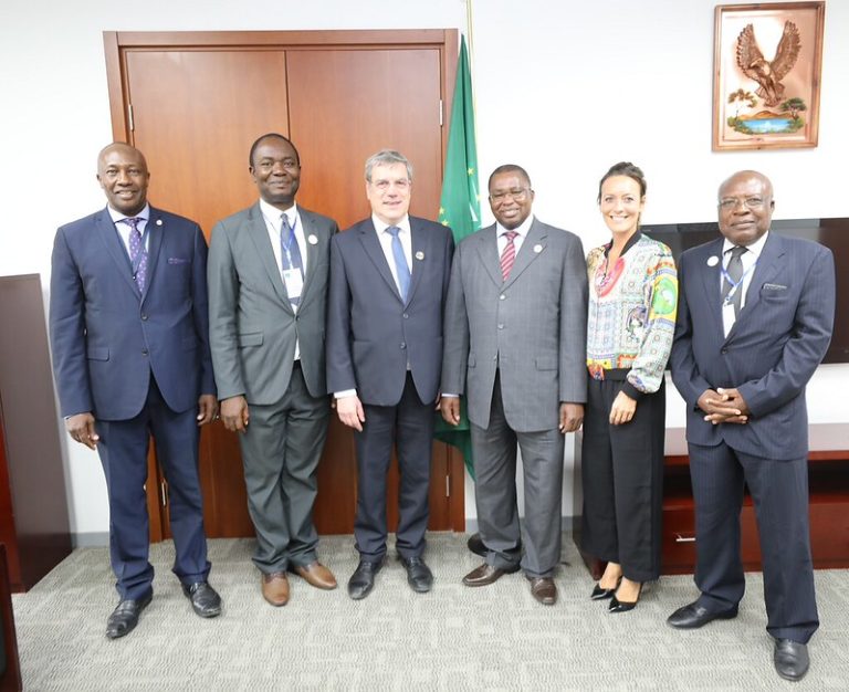 African Union Ministerial Summit