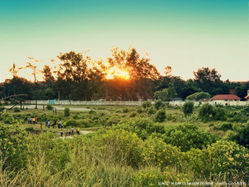 1ST TRAINING « WP7 – Geoscientific information Management » in Tanzania