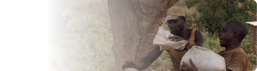 Manual da exploração mineira artesanal e de pequena escala para a região da África Austral