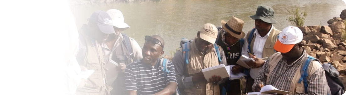 Brochure of the PanAfGeo+ Project