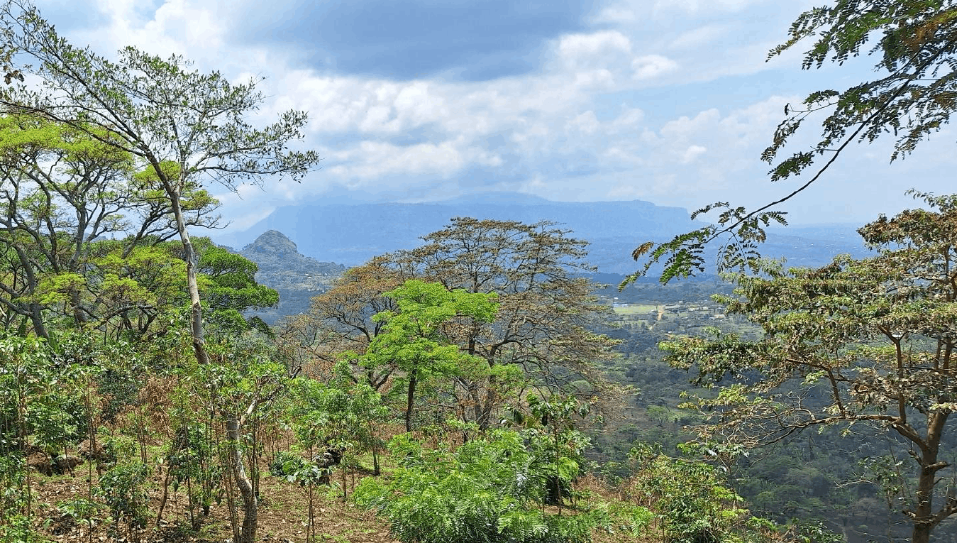 Field Excursion Guide to the Mbale Area, SE Uganda